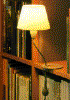 Lectura